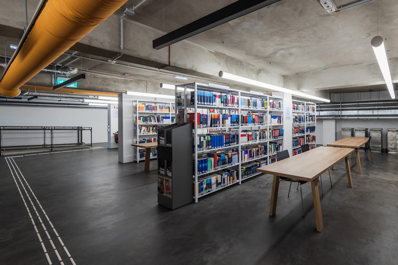 1 IMG 0080 Beschnitt